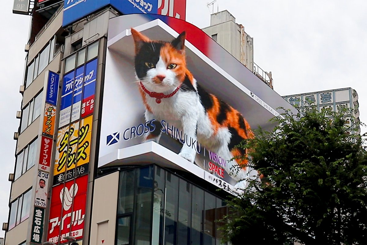 3D巨大ネコで話題、『クロス新宿ビジョン』が本放映開始。「渋谷ハチ公 