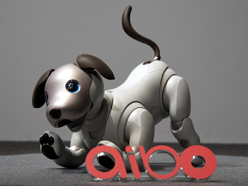 ソニー11年ぶりの犬型ロボット、新「aibo」発表。198,000円、1月11日