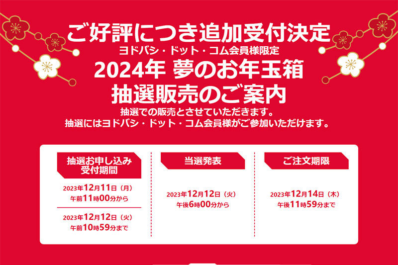 ボーズ【新品未開封】ヨドバシカメラ　夢のお年玉箱2024 サウンドバーの夢