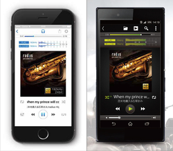 ラディウス ハイレゾ再生アプリ Neplayer でオリジナル ハイレゾ音源を提供 Phile Web