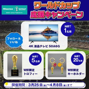 楽天ランキング1位 【タケさま専用】Hisense テレビ - テレビ・映像機器