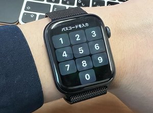 米ディズニー ワールドでapple Watchを落とした女性 約500万円を不正使用される Gadget Gate Phile Web