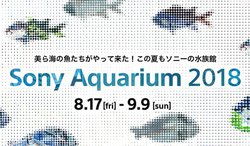 \j[A89JgGinza Sony ParkhɂĉCيďĆuSony Aquarium 2018v