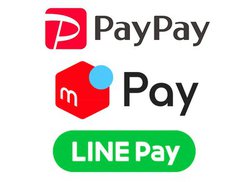 Zu-CuŖTg300~hPayPay/yC/LINE PayLy[