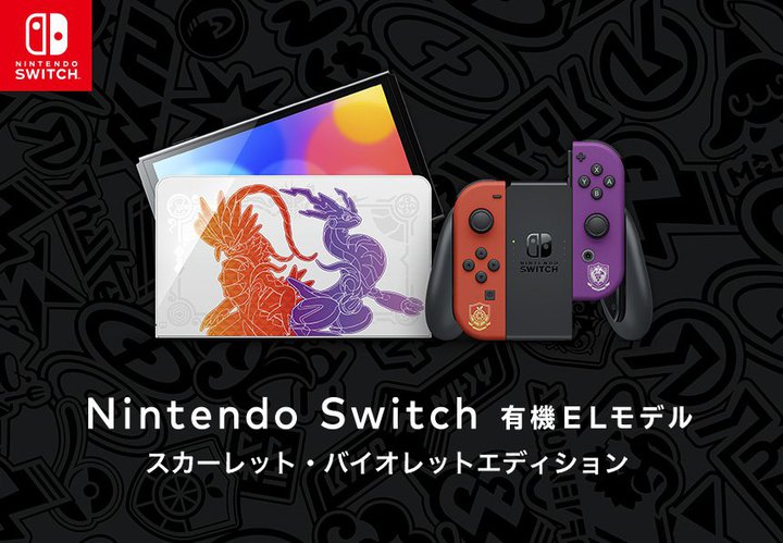 Nintendo Switch L@ELfA|P XJ[bgEoCIbgGfBV