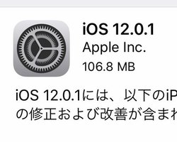 iOS 12.0.1zMJnAiPhone XS̏[dn܂ȂȂǂC