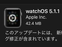 Apple WatchuwatchOS 5.1.1vzMJnBNȂoOC