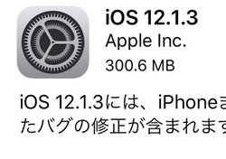 iOS 12.1.3񋟊JnAiPhone/iPad̃oOCBŐViPad Prỏ̘c݂ɂΏ