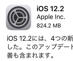iOS 12.2 zMJnBAirPlayAVAirPodsɂΉBVAj