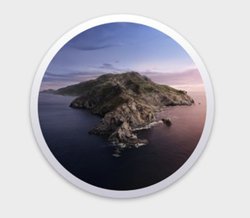 macOS 10.15.1 񋟊JnBiTunesڍsȂǃoOCAAirPods ProΉ